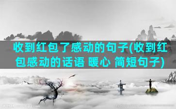 收到红包了感动的句子(收到红包感动的话语 暖心 简短句子)